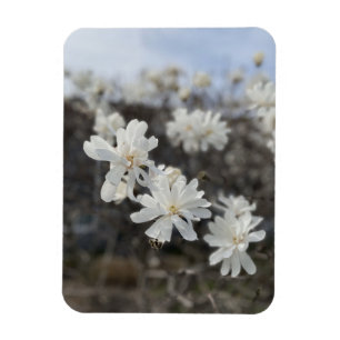 Magnet Flexible Aimant photo à fleurs blanches