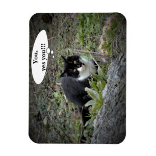 Magnet Flexible Aimant photo avec texte personnalisé Chat