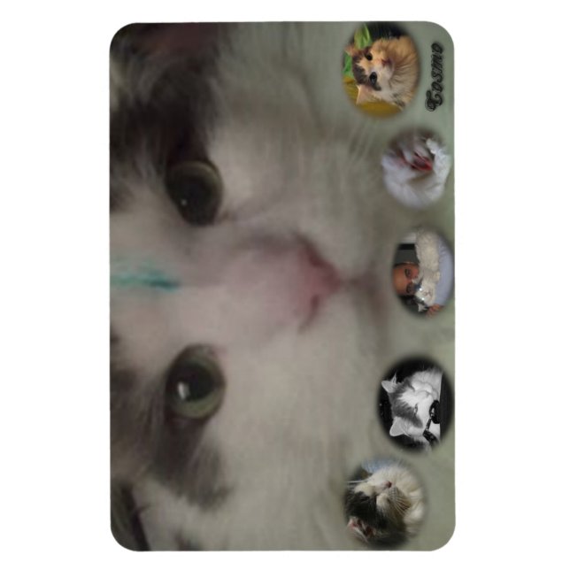 Magnet Flexible Aimant photo Cosmo Collage (Vertical)