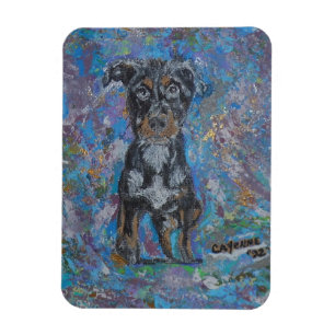 Magnet Flexible Aimant photo flexible