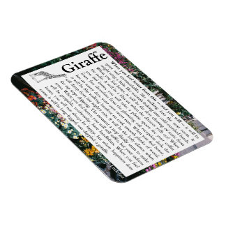 Magnet Flexible Aimant photo flexible