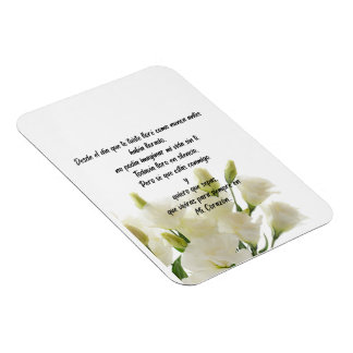 Magnet Flexible Aimant photo flexible