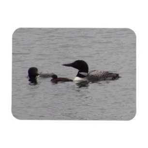 Magnet Flexible Aimant photo flexible de la famille Loon