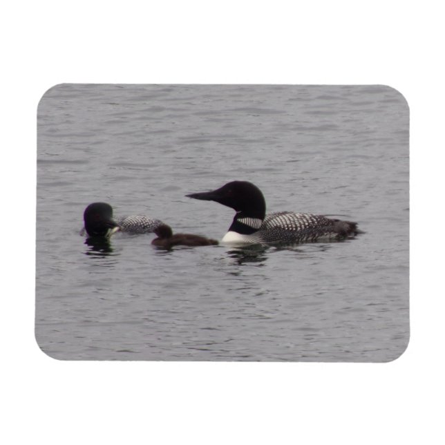 Magnet Flexible Aimant photo flexible de la famille Loon (Horizontal)