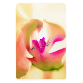 Magnet Flexible Aimant photo flexible design orchidée