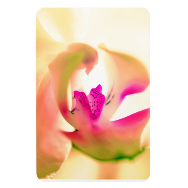 Magnet Flexible Aimant photo flexible design orchidée (Vertical)