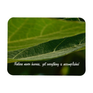 Magnet Flexible Aimant photo flexible "Feuille d'arbre"