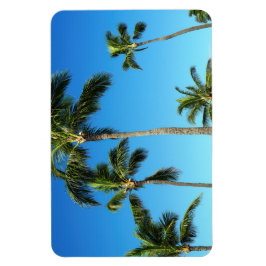 Magnet Flexible Aimant photo Hawaiian Coconut Trees
