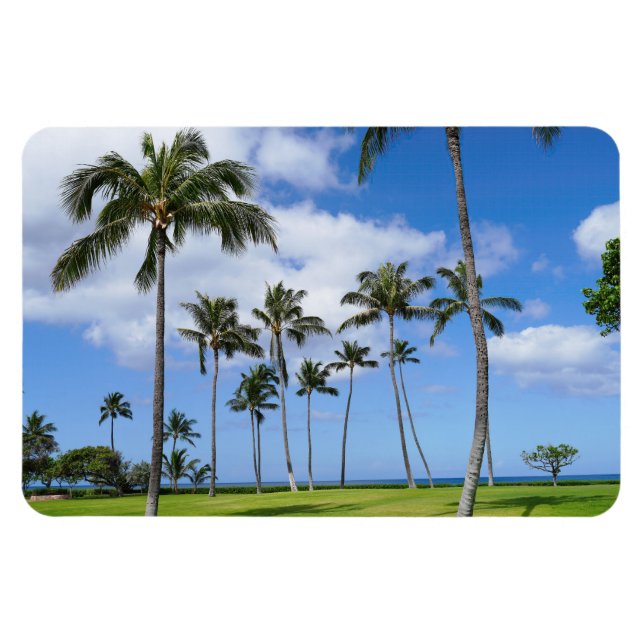 Magnet Flexible Aimant photo Hawaiian Coconut Trees (Horizontal)