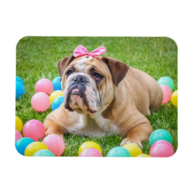 Magnet Flexible Aimant photo pour animal de compagnie de chien per (Horizontal)