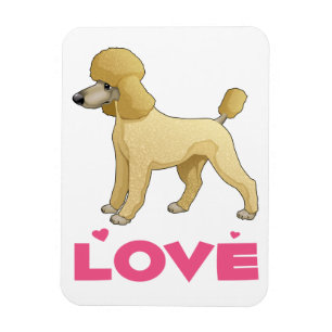 Magnet Flexible Aimant pour réfrigérateur Chien Miniature Caniche