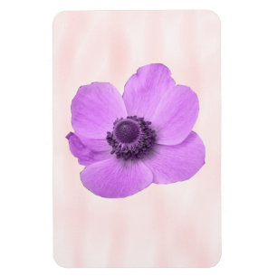 Magnet Flexible Aimant Premium Anemone rose