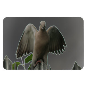 Magnet Flexible Aimant Premium de colombe Angel