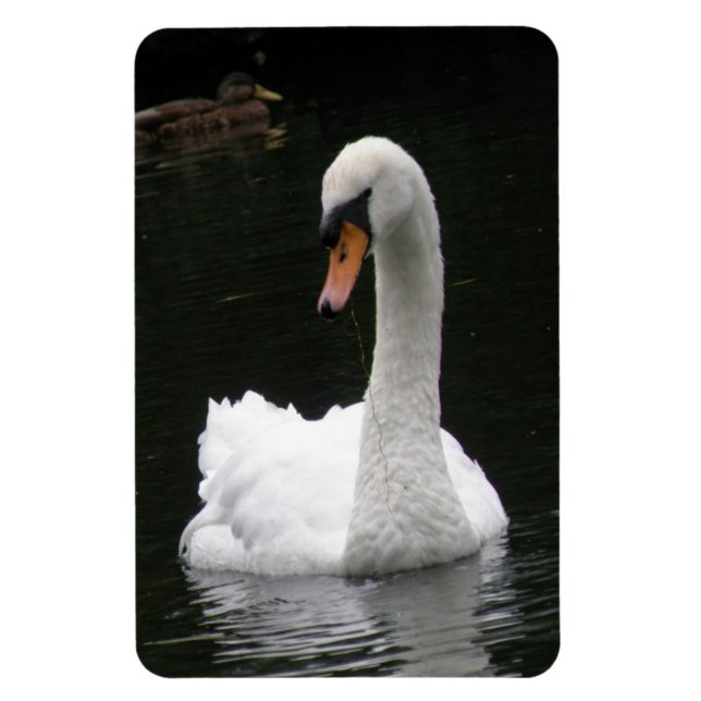 Magnet Flexible Aimant Premium de cygne blanc (Vertical)