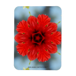 Magnet Flexible Aimant Premium Fleur Rouge
