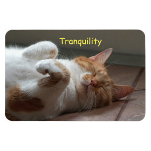 Magnet Flexible Aimant souple couchant mignon