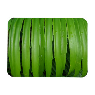Magnet Flexible Aimant vert Leafs 3"x4"