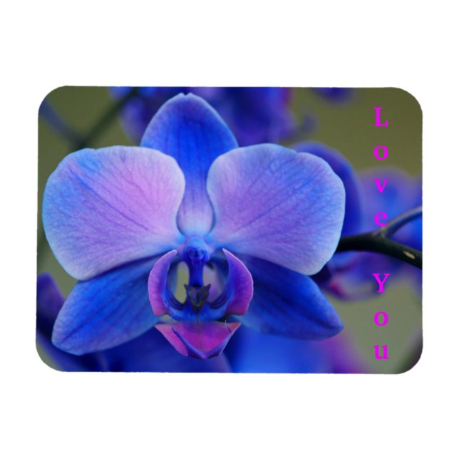 Magnet Flexible Aimez-vous Bleu et Aimant Orchidée rose (Horizontal)