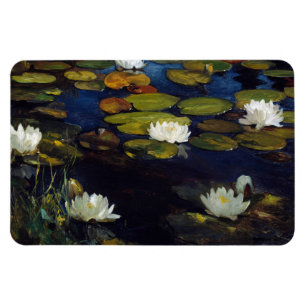 Magnet Flexible Albert Edelfeue - Lys d'eau, étude