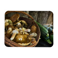 Alimentation d'automne encore vie aimant photo