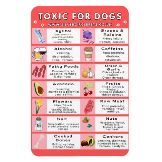 Magnet Flexible Aliments toxiques pour les chiens Aimant frigo