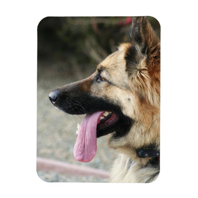 Magnet Flexible Allemagne Shepherd aimant photo flexible (Vertical)
