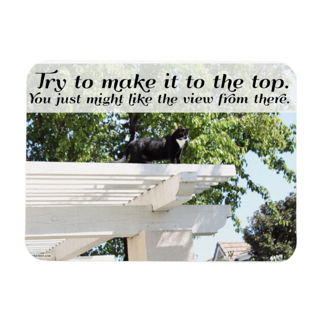 Magnet Flexible Allez et faites-le au Top Chat Motivational Slogan (Horizontal)