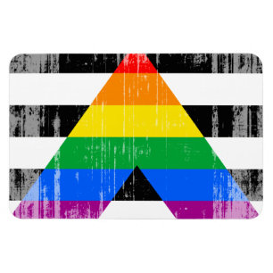 Magnet Flexible ALLY FLAG DISTRESSEE -.png