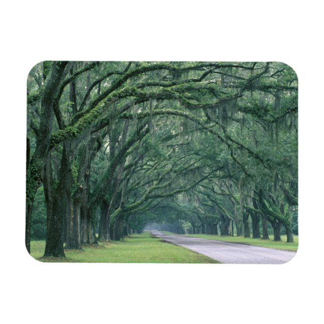 Magnet Flexible Amérique du Nord, États-Unis, Géorgie, Savannah, (Horizontal)