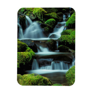 Magnet Flexible Amérique du Nord;États-Unis; Washington, Sol Duc