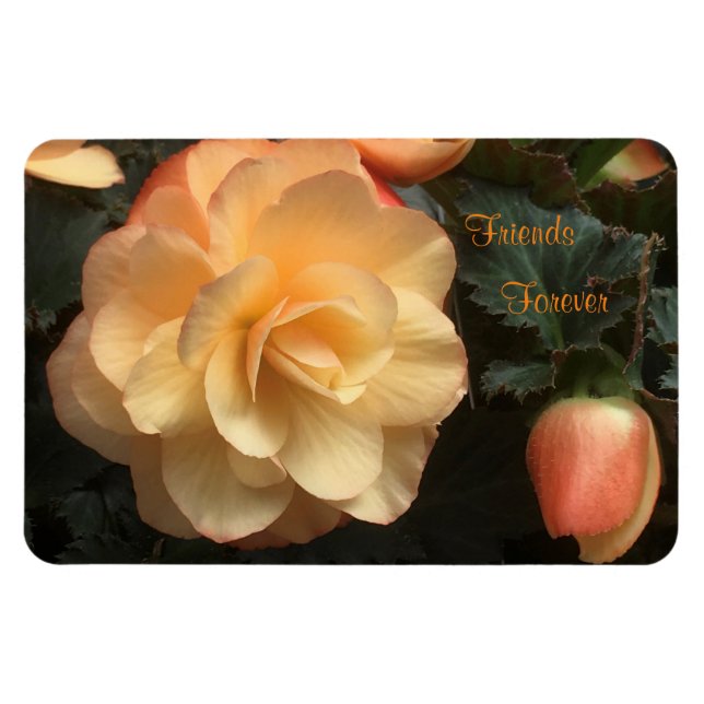 Magnet Flexible Amis pour toujours (Horizontal)