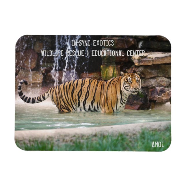 Magnet Flexible Amol - (Horizontal)