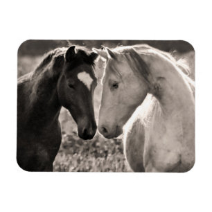 Magnet Flexible Amour de cheval