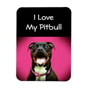 Magnet Flexible Amour de Pitbull