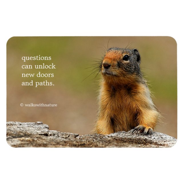 Magnet Flexible Amusant Cute Saucy Columbian Ground Squirrel (Horizontal)