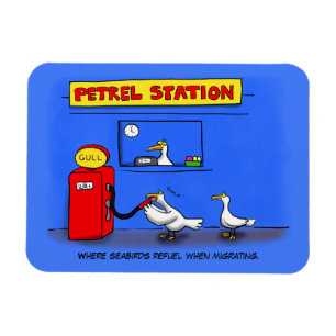 Magnet Flexible Amusant goéland de mer petrel caricature humour