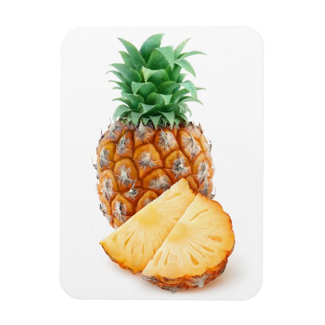 Magnet Flexible Ananas (Vertical)