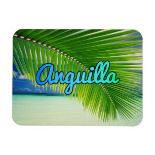 Magnet Flexible Anguilla