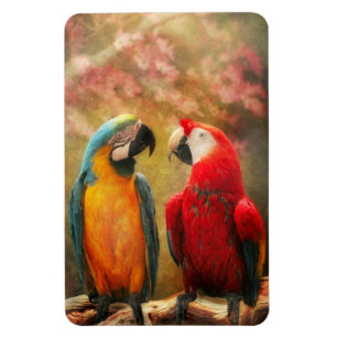 Magnet Flexible Animal - Perroquet - Nous aurons toujours des perr