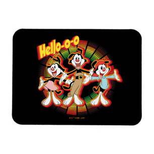 Magnet Flexible Animaniacs Hello-o Retro Equalizer Graphic