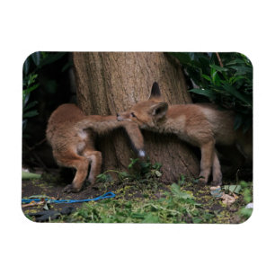 Magnet Flexible Animaux de bébés cutest Bébé Renards Jouer