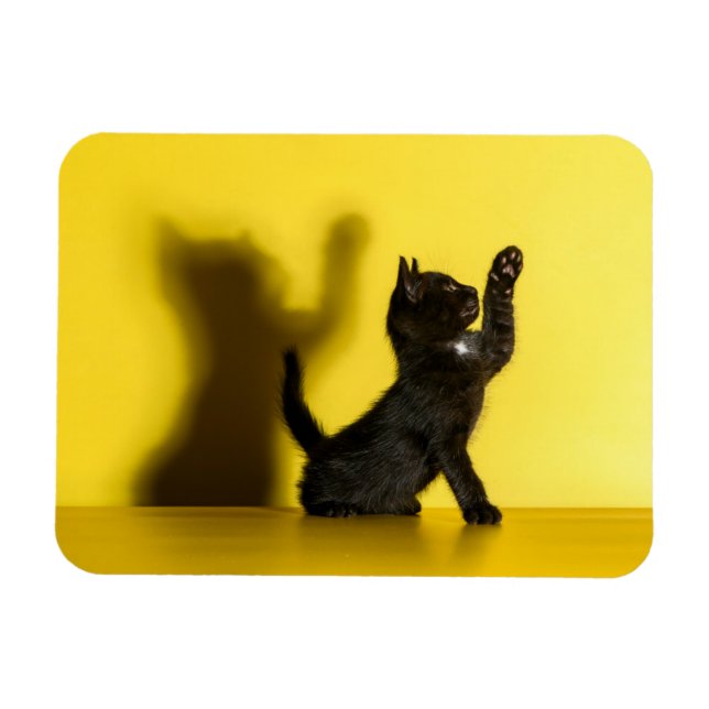 Magnet Flexible Animaux de bébés cutest | Black Cat Jouer (Horizontal)