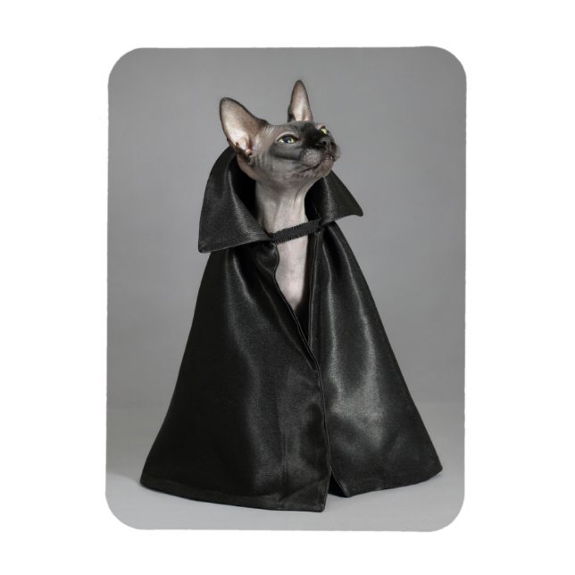 Magnet Flexible Animaux de bébés cutest | Chat sans poil Sphynx (Vertical)