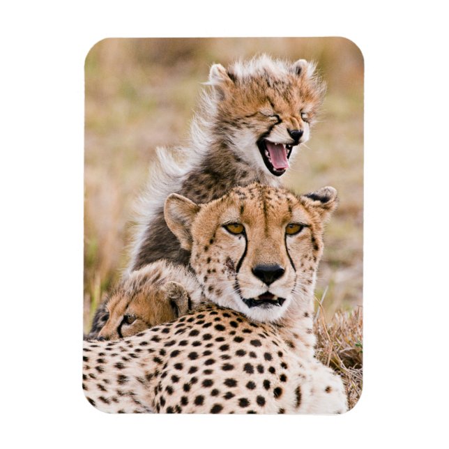 Magnet Flexible Animaux de bébés cutest | Cheetah Cat & Cub (Vertical)