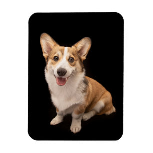 Magnet Flexible Animaux de bébés cutest Corgi Puppy Smile