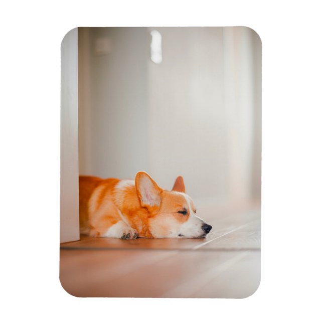 Magnet Flexible Animaux de bébés cutest | Corgi Sleeping (Vertical)
