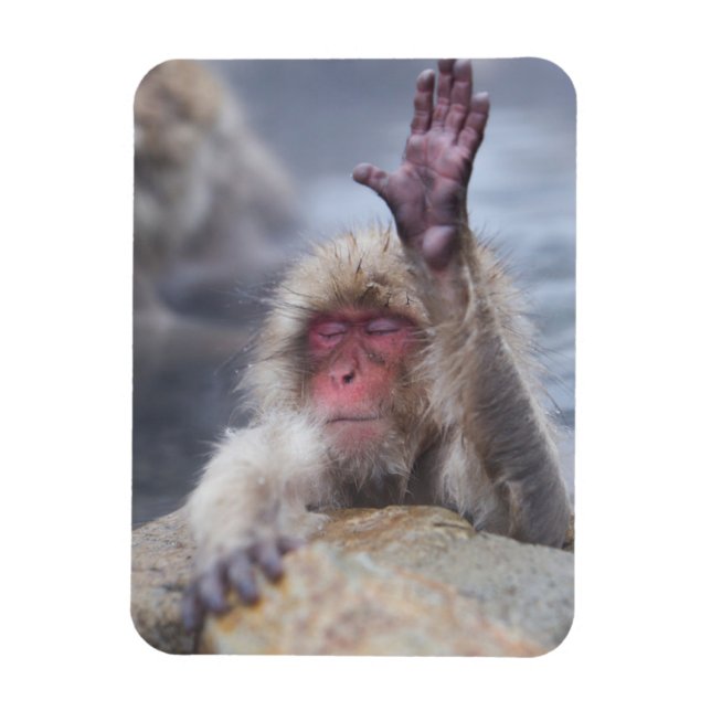 Magnet Flexible Animaux de bébés cutest | Face de singe de neige (Vertical)