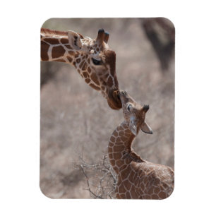 Magnet Flexible Animaux de bébés cutest   Giraffe mère et bébé