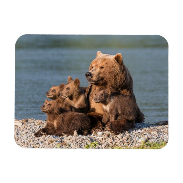 Magnet Flexible Animaux de bébés cutest | Mère Ours & Cubs (Horizontal)