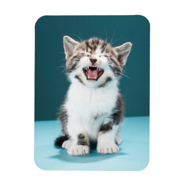 Magnet Flexible Animaux de bébés cutest | Mewing Baby Kitten (Vertical)